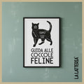 Guida alle coccole feline