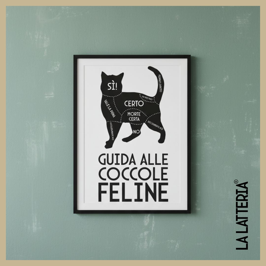 Guida alle coccole feline